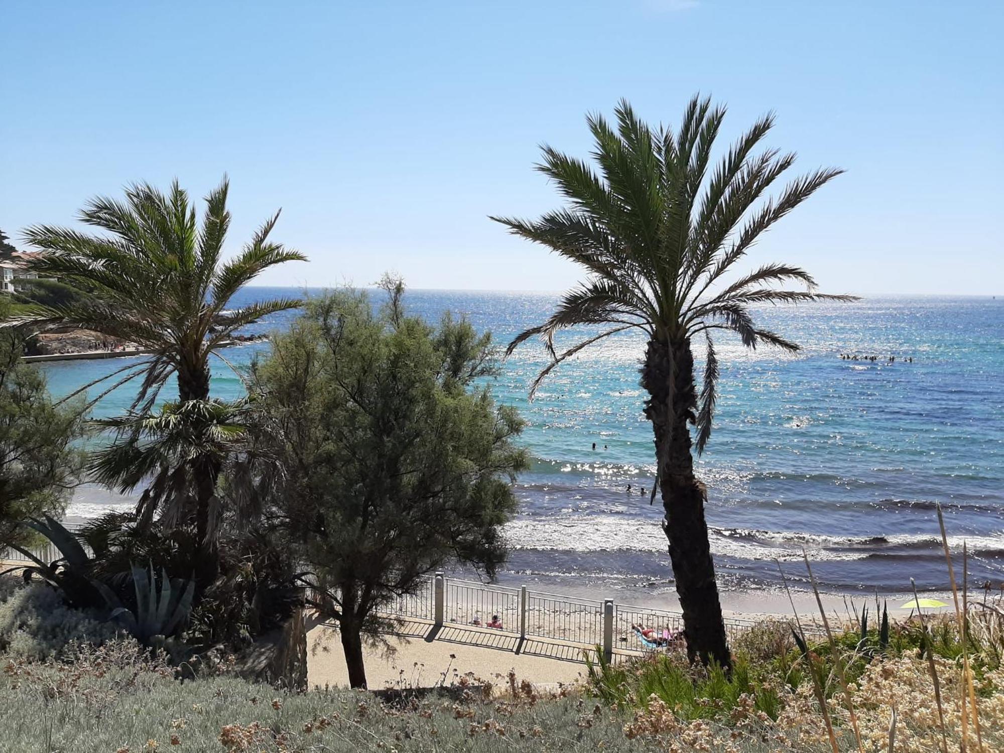 Sanary- La Vie Est Belle- Centre Ville 2 Minutes A Pied- Plage 5 Minutes Εξωτερικό φωτογραφία